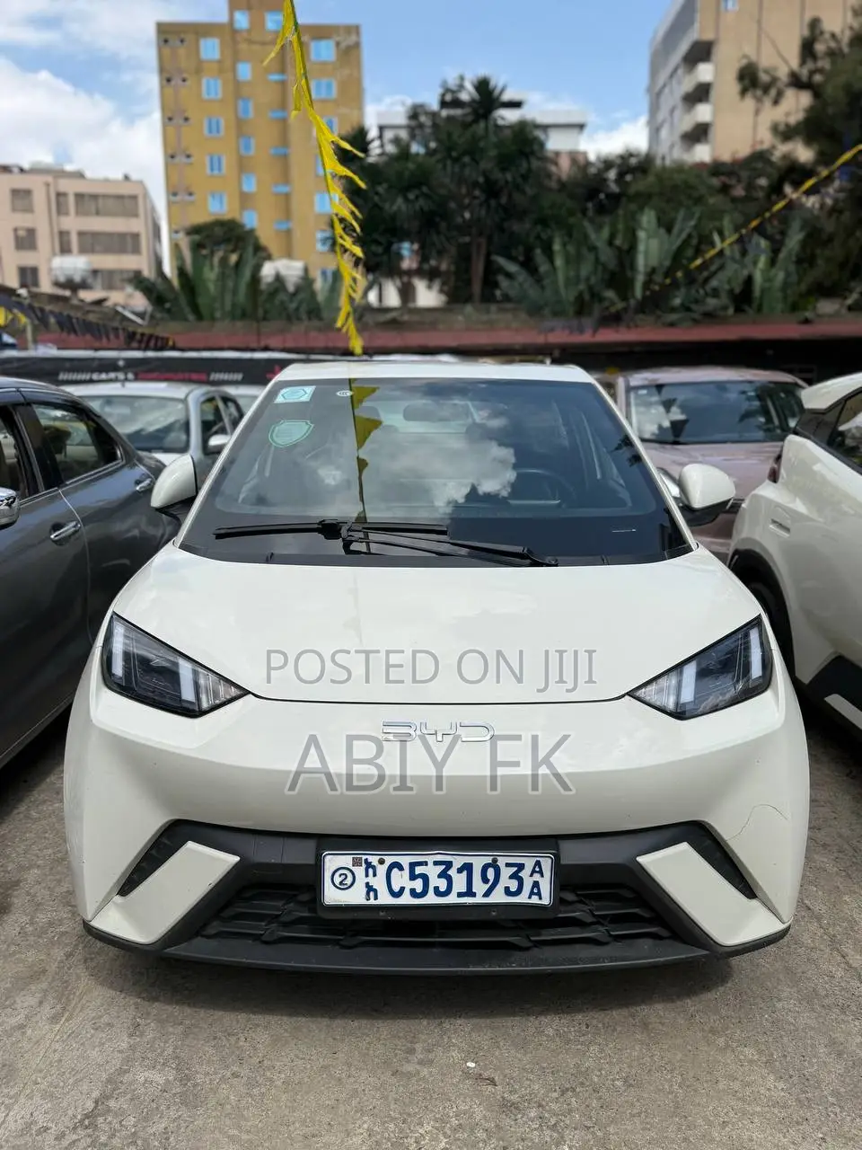 New BYD Seagull 2024 White