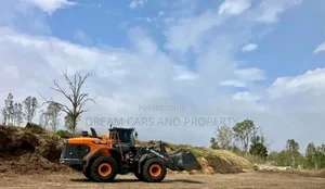 Develon Loader 300n 2025