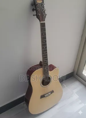 Brand New Electric Guitar