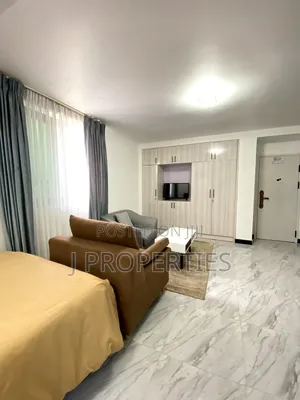 Furnished 1bdrm Apartment in Bole for rent