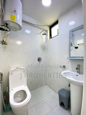 Furnished 1bdrm Apartment in Bole for rent