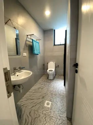 Furnished 3bdrm Apartment in Bole for rent