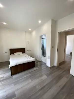 Furnished 3bdrm Apartment in Bole for rent