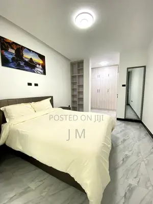 Furnished 3bdrm Apartment in Bole for rent