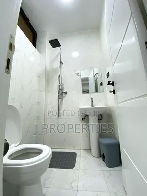 Furnished 3bdrm Apartment in Bole for rent