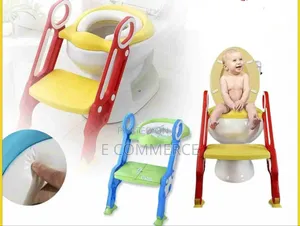 Potty Trainer With Ladder