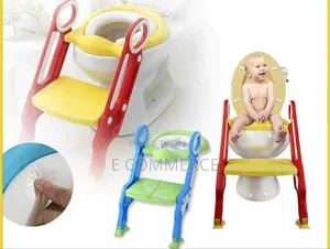 Potty Trainer With Ladder