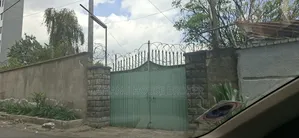 Photo - የሚከራይ ቪላ አአ ለም ሆቴል አከባቢ 500sqm 3መኝታ 3 ሰርቪስ ዋጋ 100birr