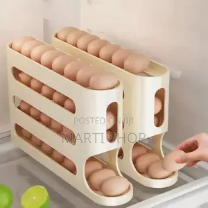 Egg Storage Box