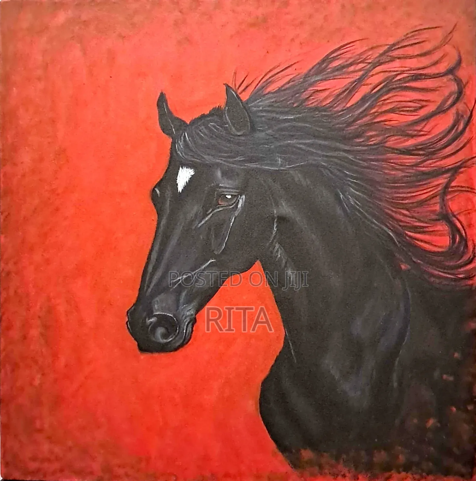 Black Horse Painting 60x60