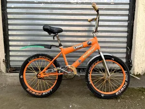 Photo - 20inch Bike