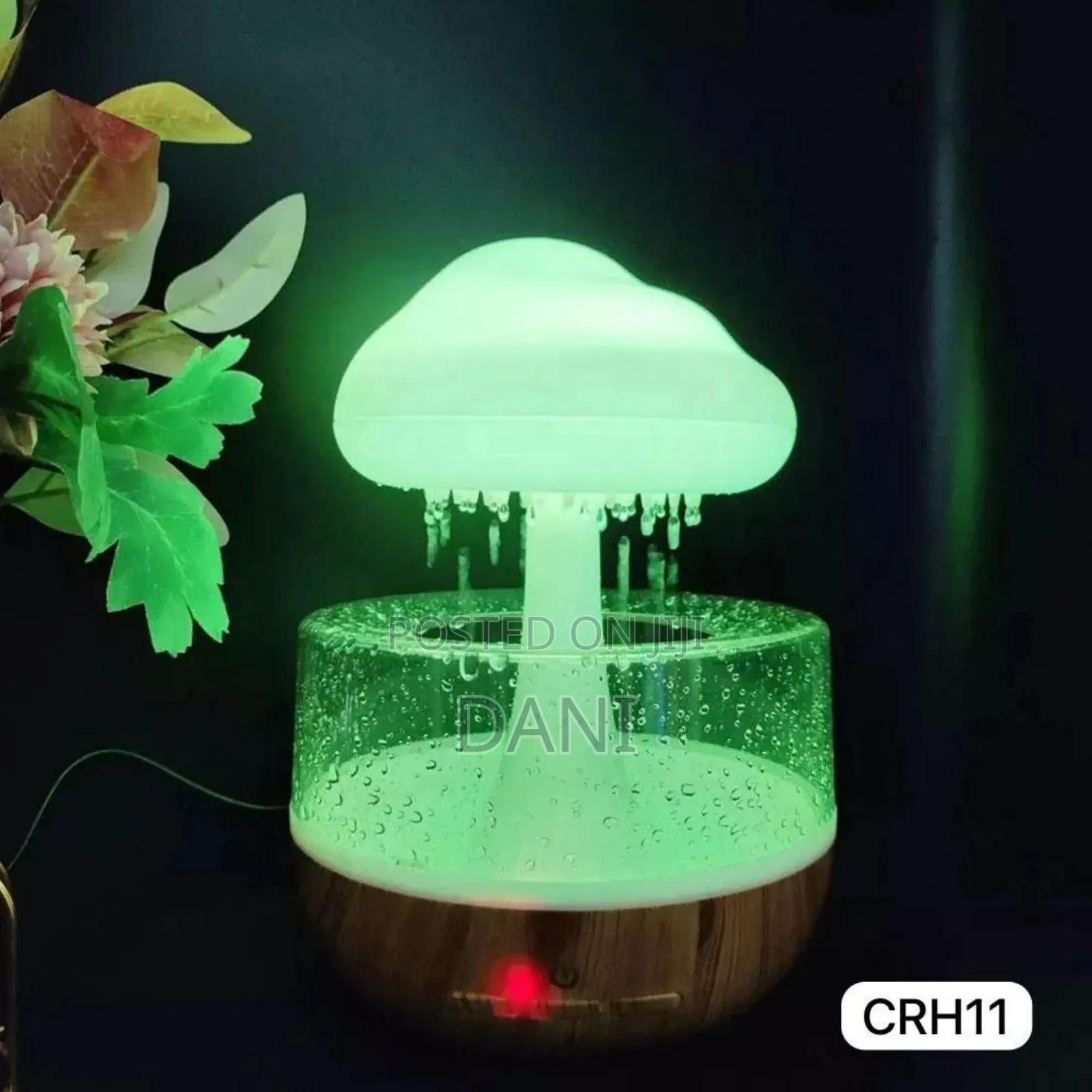 Cloud Rain Humidifier