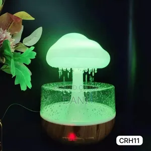 Photo - Cloud Rain Humidifier
