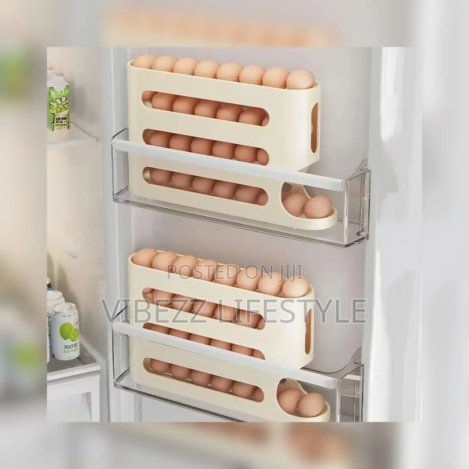 50 Egg Storage Box