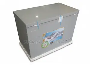 Everest Deep Freezer 300