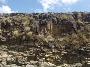 Photo - ትርፋማ የስራ ቦታ