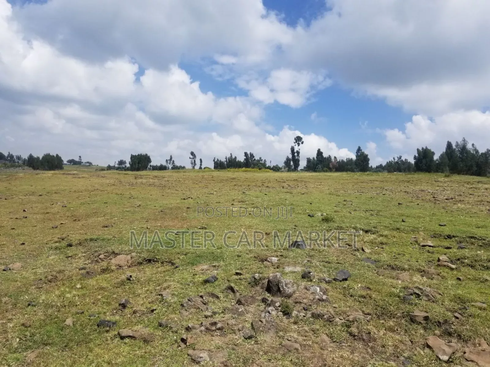 ትርፋማ የስራ ቦታ