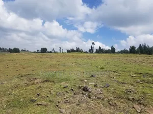 ትርፋማ የስራ ቦታ