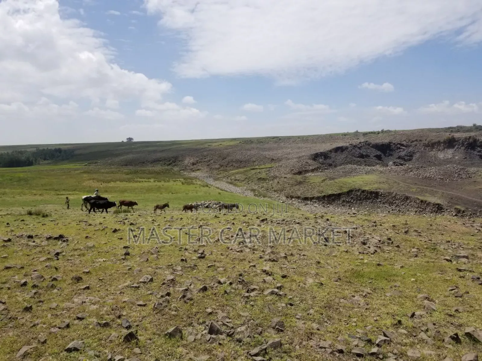 ትርፋማ የስራ ቦታ