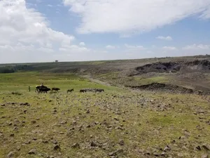 ትርፋማ የስራ ቦታ