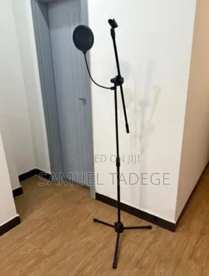 Photo - Guitar Mic Stand and Sound Filter