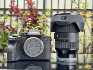 Photo - Sony Alpha 7iv( A74) With Sigma 24-70mm F2.8 Lens