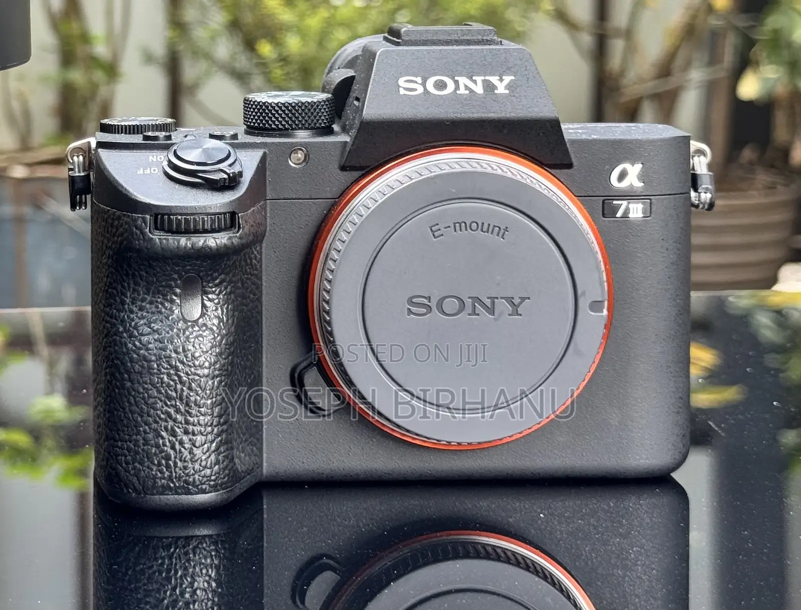 Sony A7iii(Alpha 7 Mark 3)