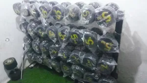 Train Anytime, Anywhere( Dumbbell)