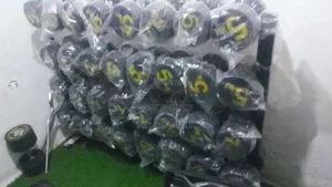 Train Anytime, Anywhere( Dumbbell)