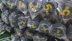 Get Stronger Every Day