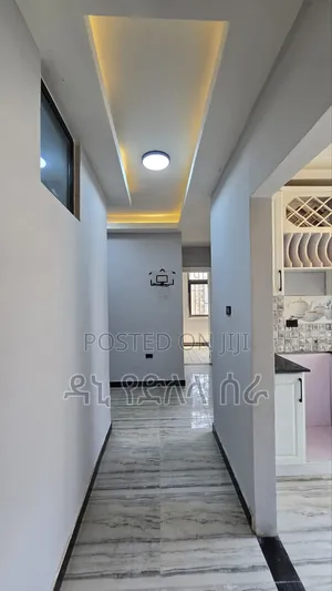 Furnished 3bdrm Condo in አዲስ አበባ, Bole for sale