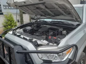 Toyota Tacoma Limited 2019 Silver