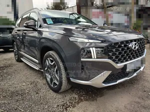 Hyundai Santa Fe 2023 Gray