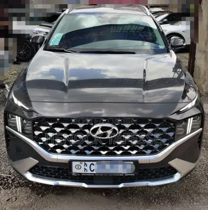 Hyundai Santa Fe 2023 Gray