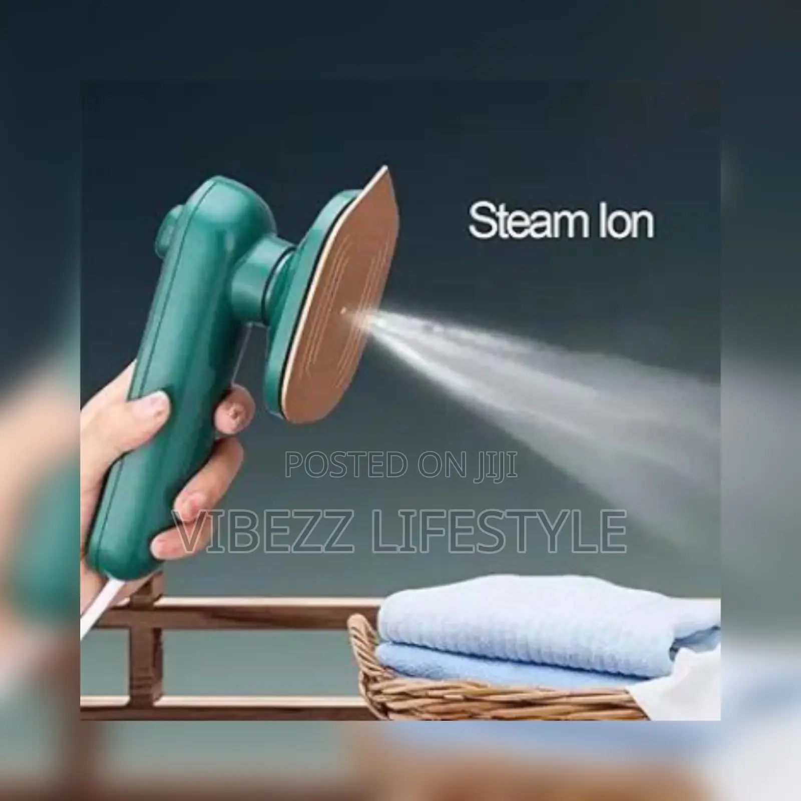 Steam Iron