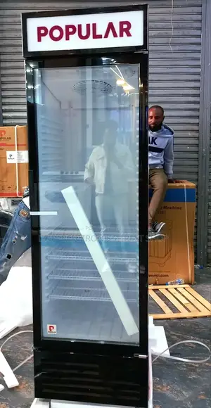 Popular Display Refrigerator 480 Fridge