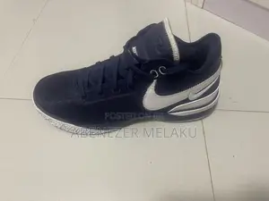 Nike Airzoom LBJ NXXT