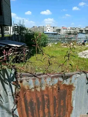 Photo -  250ካሬ ጅ+2