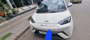 BYD Seagull 30 kWh FWD 2023 Silver