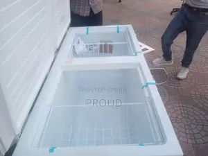 Photo - 2 Door Deep Frige