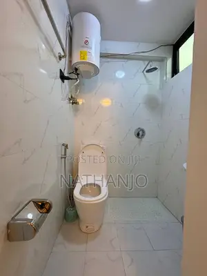 Furnished 1bdrm Apartment in Bole for rent