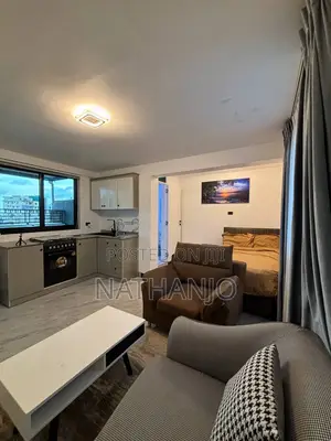 Furnished 1bdrm Apartment in Bole for rent