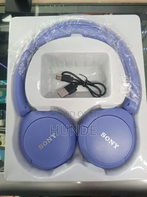 Sony Wh-Ch520 Headphone