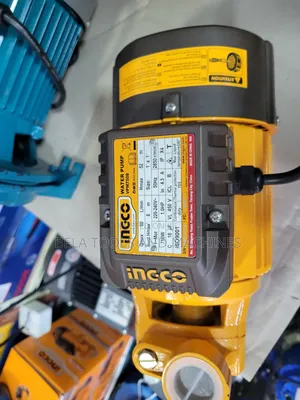 Original Ingco 1hp Water Pump