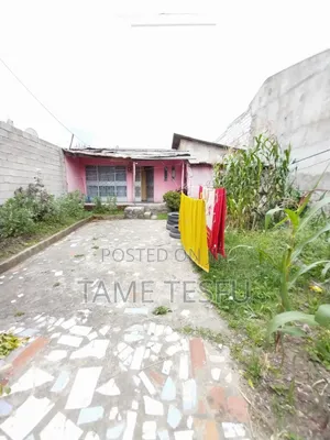 Furnished 3bdrm House in ወሰን, Yeka for sale