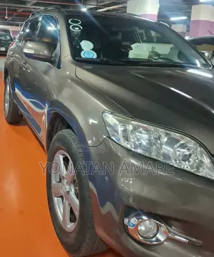Toyota RAV4 2012 Brown