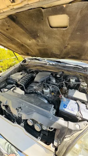 Toyota Land Cruiser 2009 Beige