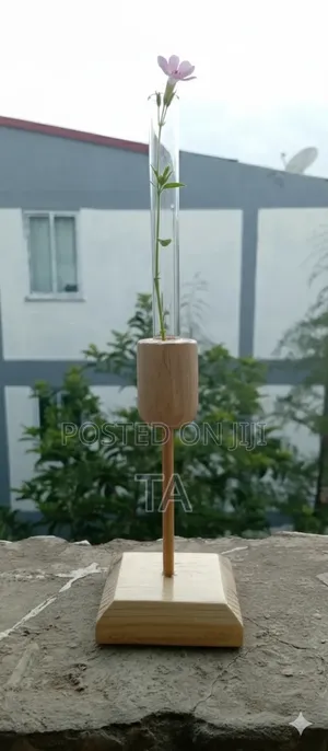 Single-Stem Propagation Vase