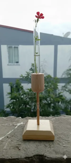 Single-Stem Propagation Vase