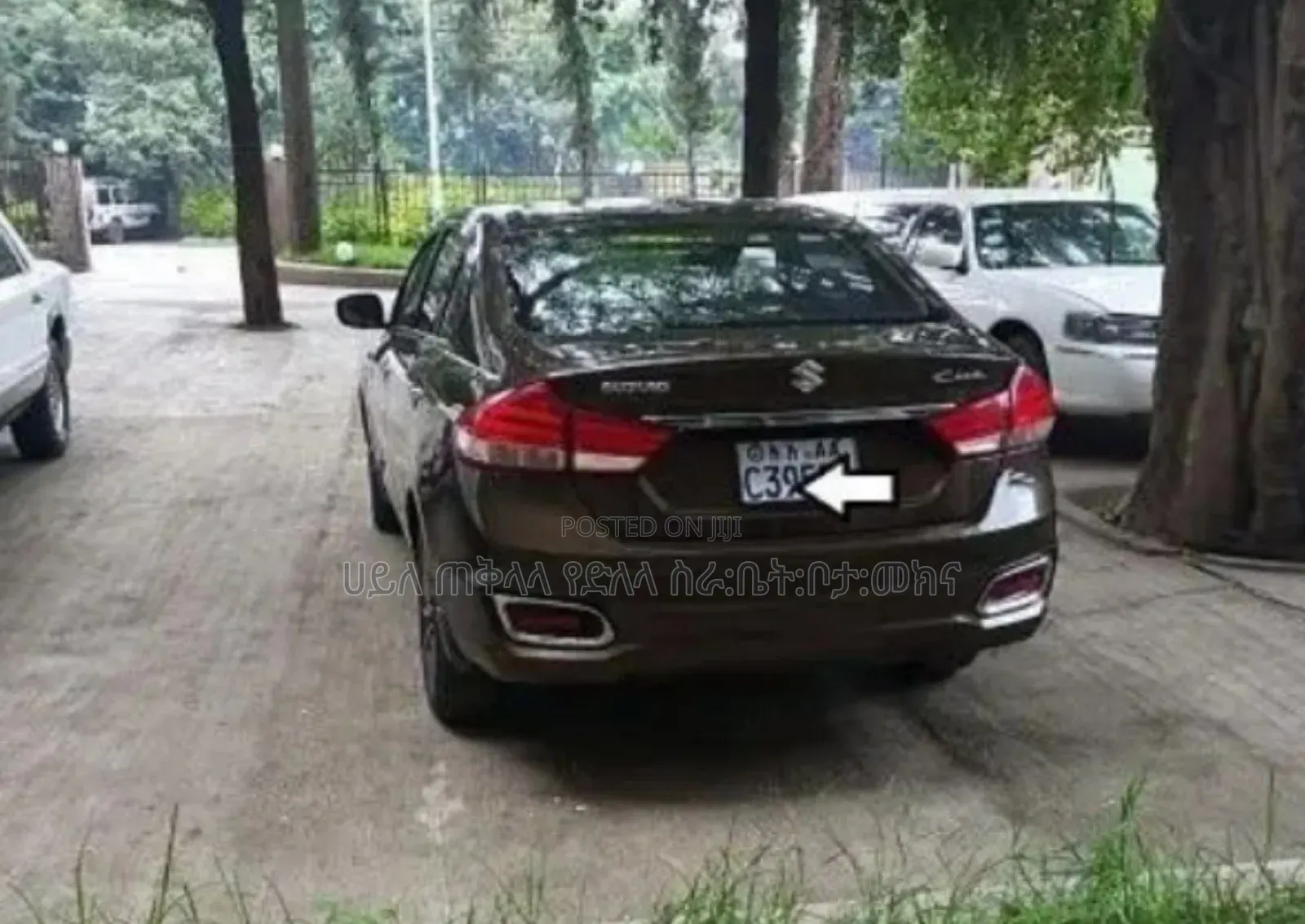 Suzuki Ciaz 2023 Brown